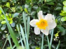 Nos prestations sur le secteur de Perros-Guirec (22700)